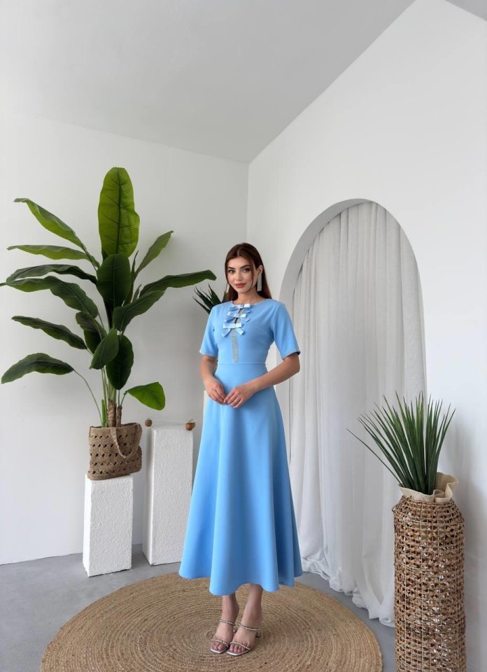 Wera Taşlı Fiyonk Detaylı Elbise