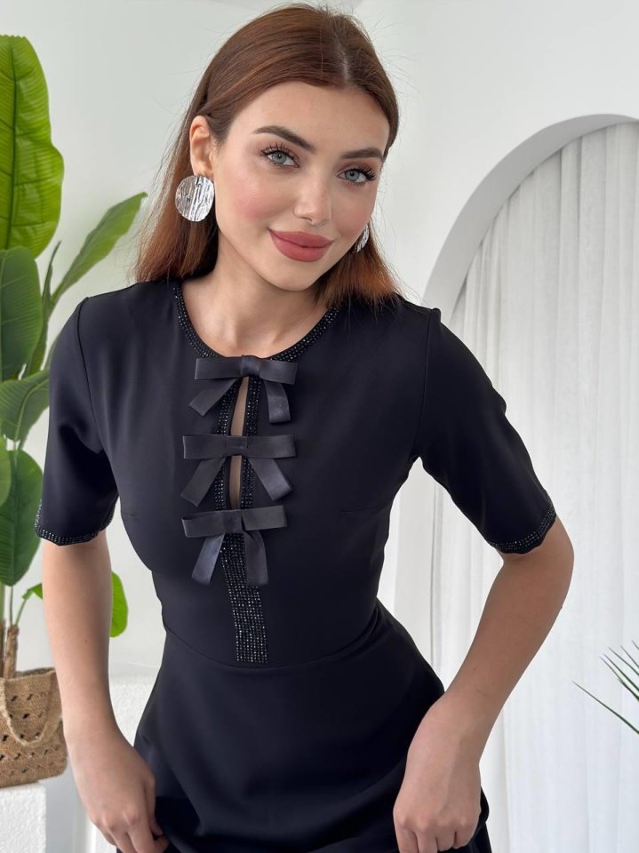 Wera Taşlı Fiyonk Detaylı Elbise