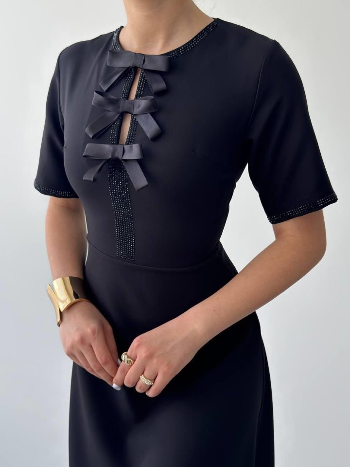 Wera Taşlı Fiyonk Detaylı Elbise