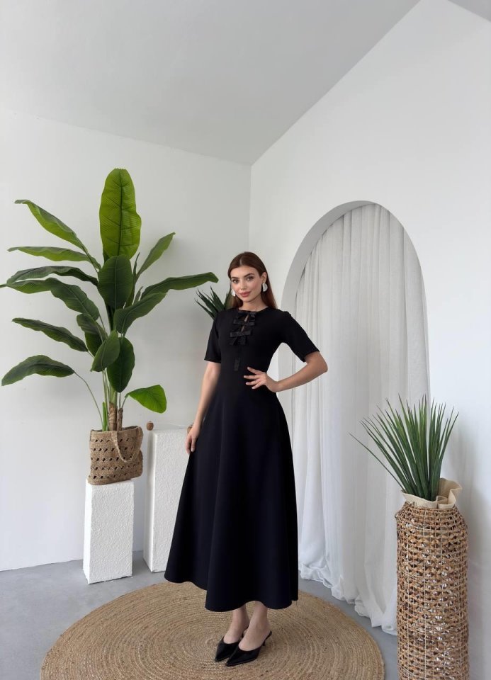 Wera Taşlı Fiyonk Detaylı Elbise