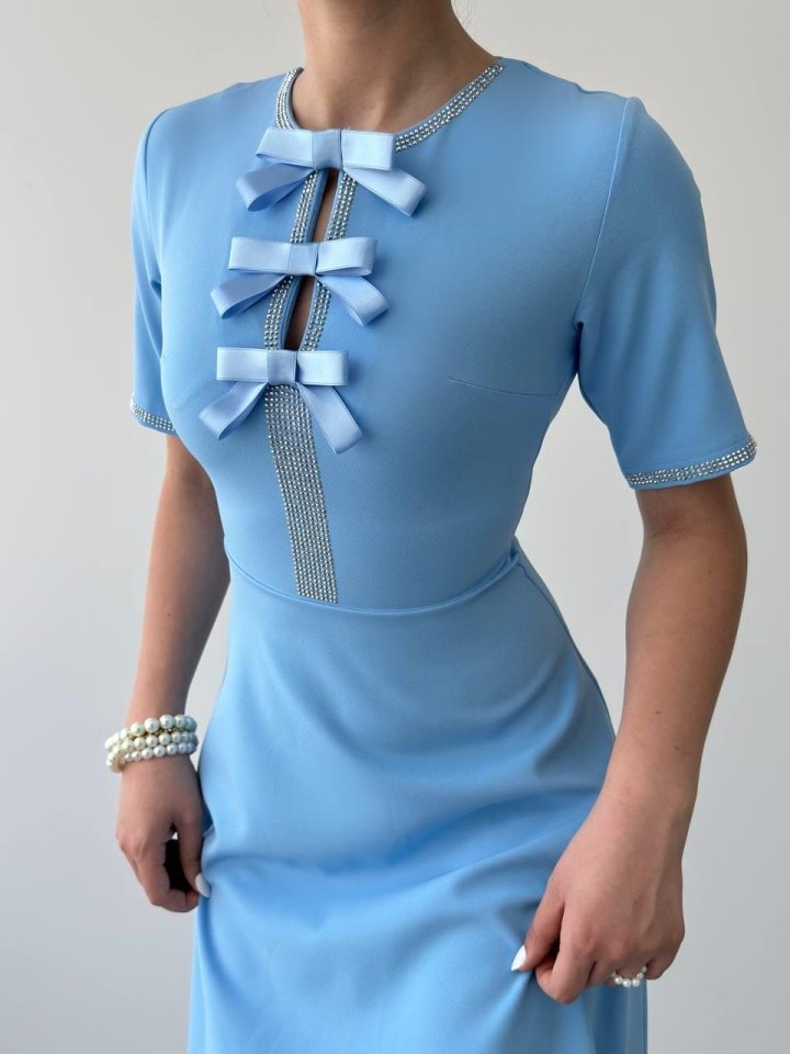 Wera Taşlı Fiyonk Detaylı Elbise